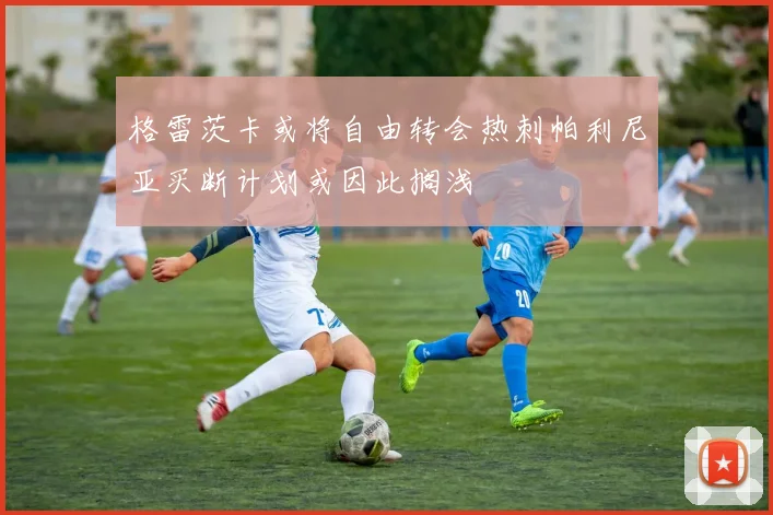 格雷茨卡或将自由转会热刺帕利尼亚买断计划或因此搁浅