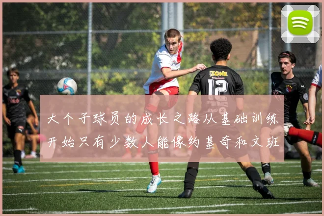 大个子球员的成长之路从基础训练开始只有少数人能像约基奇和文班那样成功